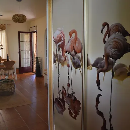 Casa Flamenco Torrevieja